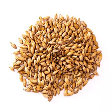 valley malt wheat.